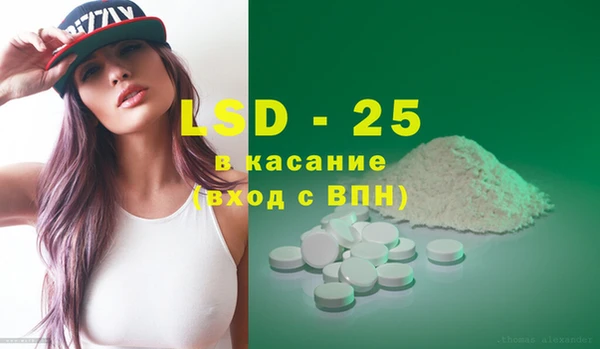 дживик Горняк