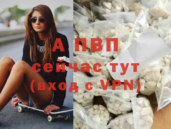 дживик Горняк