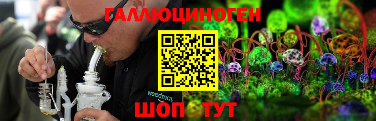 Галлюциногенные грибы Psilocybine cubensis  Вход с VPN  Дубна 